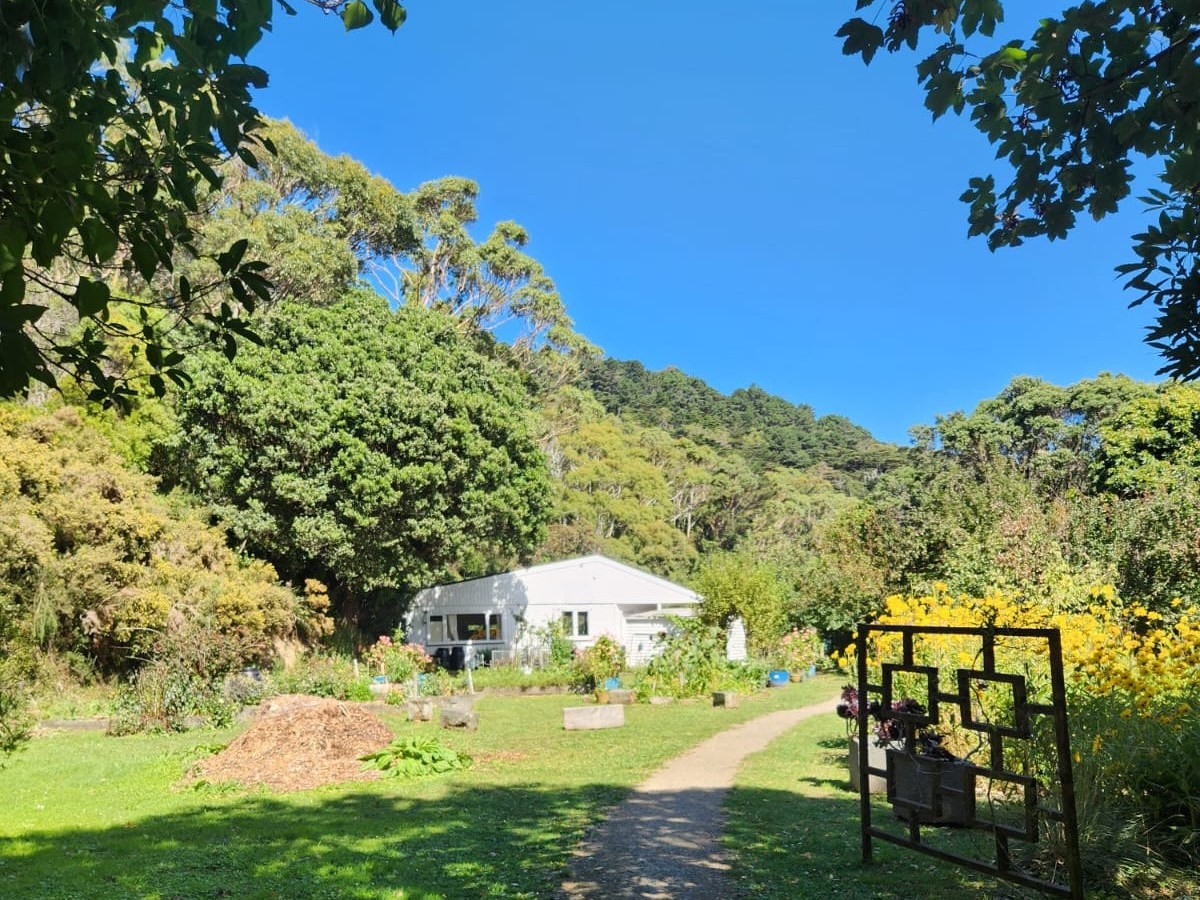 Whaiwhakaaro – A thoughtful reflection newsletter, part&nbsp;one