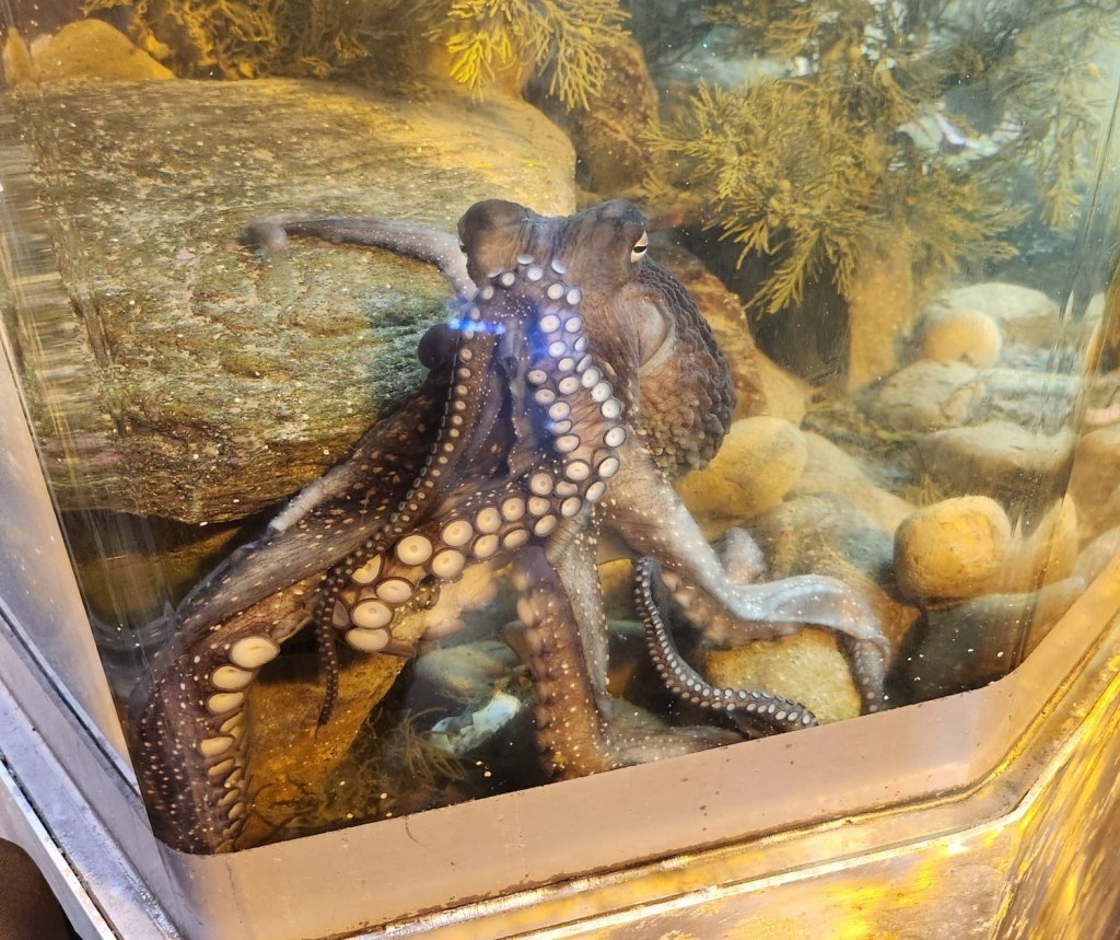 Whaiwhakaaro – A thoughtful reflection newsletter, part two